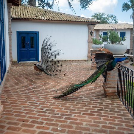 Hotel Fazenda Sao Silvano Morungaba Zewnętrze zdjęcie