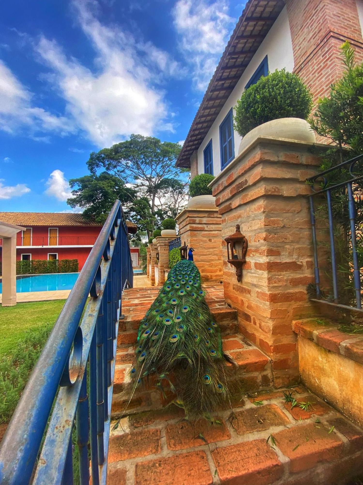 Hotel Fazenda Sao Silvano Morungaba Zewnętrze zdjęcie